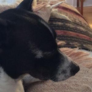 Meet your Posher, Anne